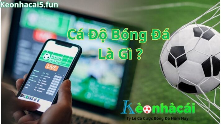 cá độ bóng đá