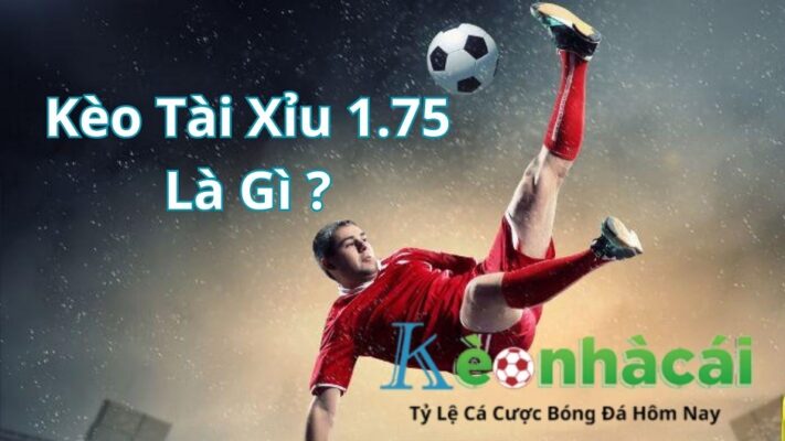 tài xỉu 1.75 là gì